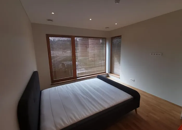 Vytauto 421 By Jk Апартаменты *