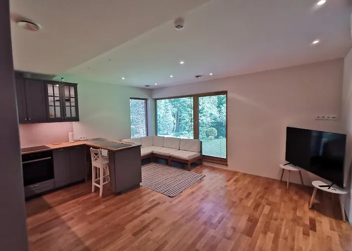 Vytauto 421 By Jk * Паланга