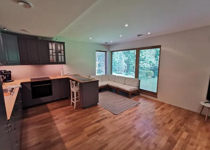 Vytauto 421 By Jk Апартаменты